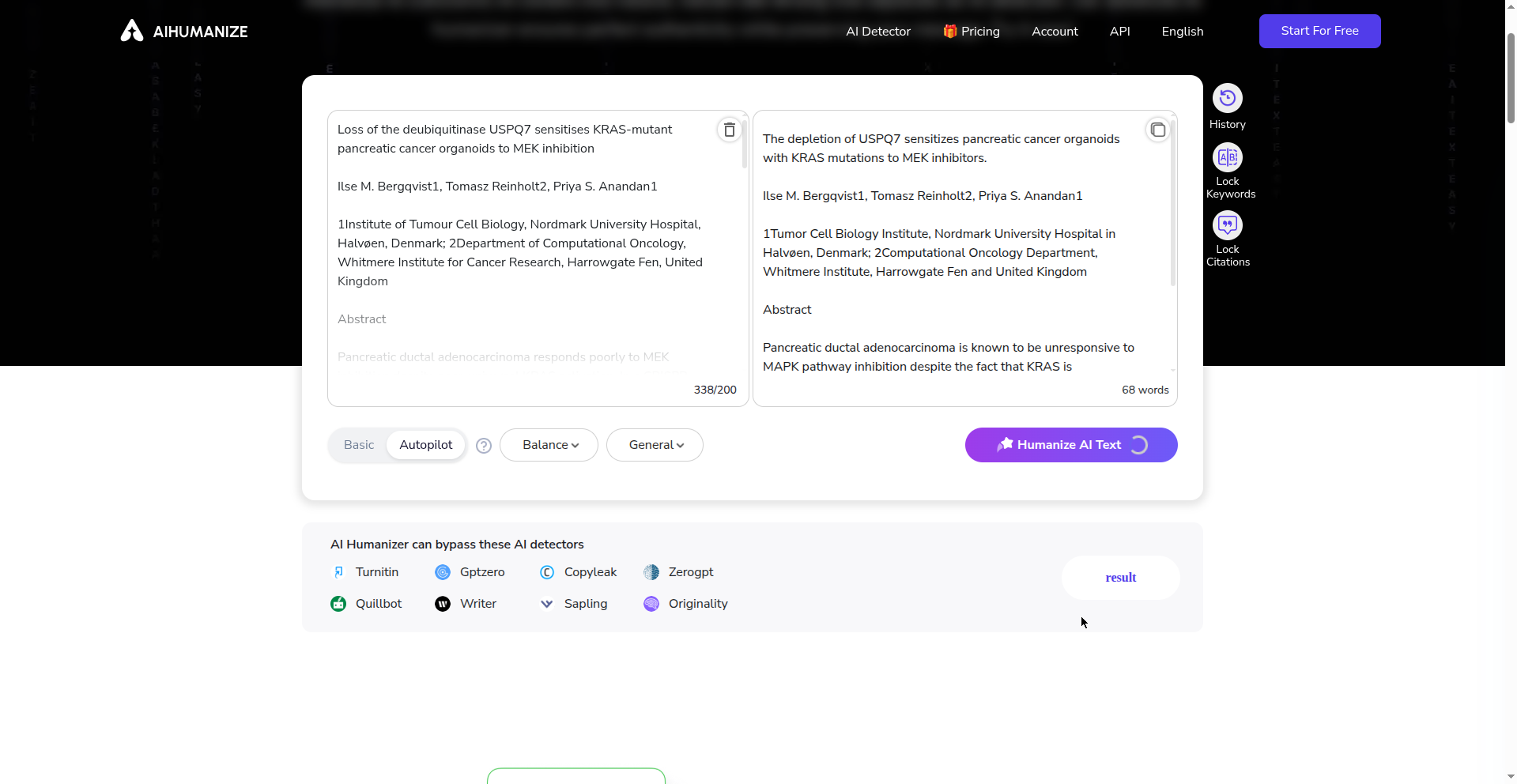 aihumanize.io interface